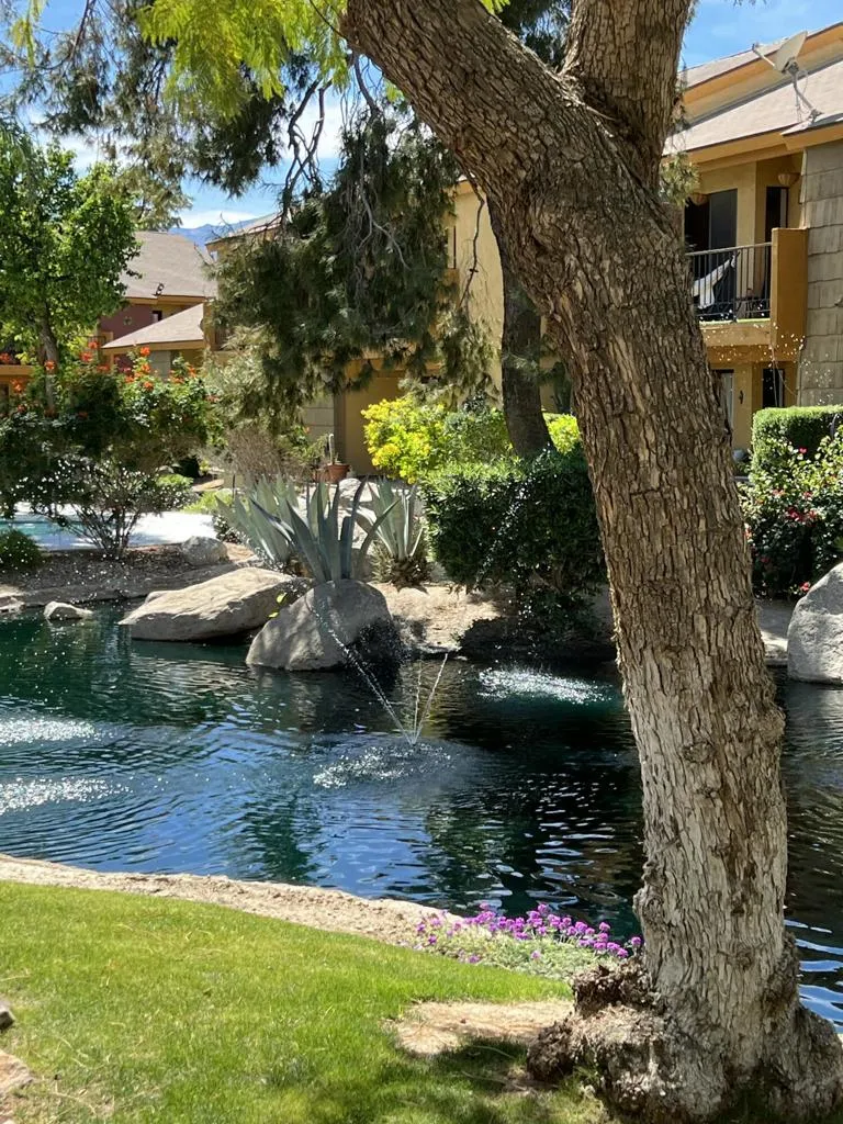48255 Monroe Street #12 Indio, CA 92201