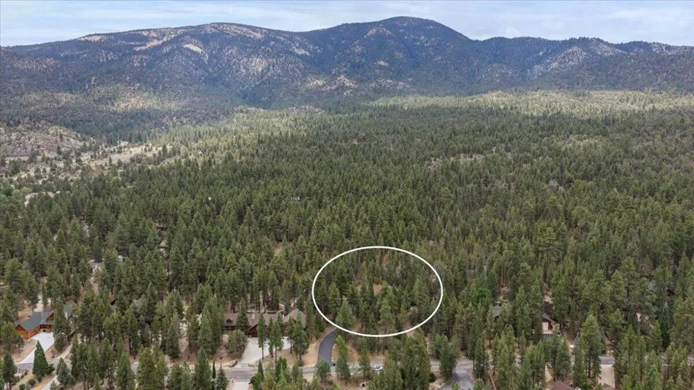 1924 Shady Lane Big Bear City, CA 92314