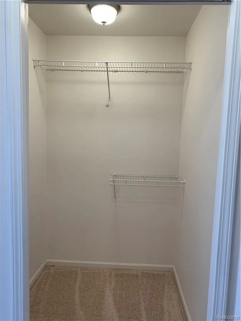 4783 Hickory Pointe Pittsfield Charter Township, MI 48197
