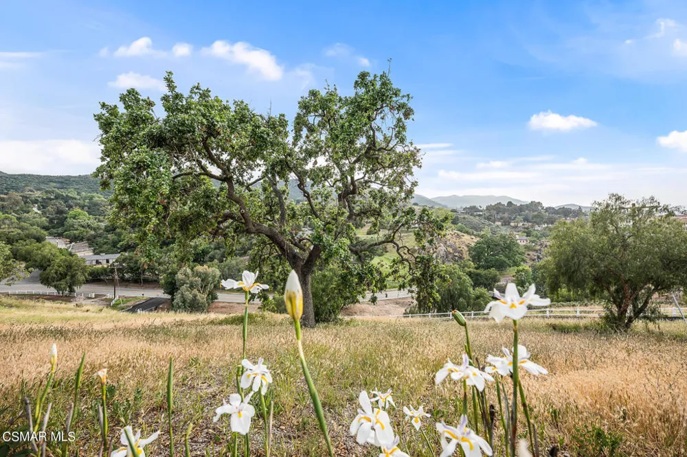 167 Rimrock Road Thousand Oaks, CA 91361