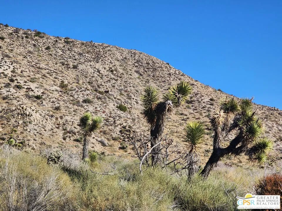 54260 Pinon Drive Yucca Valley, CA 92284
