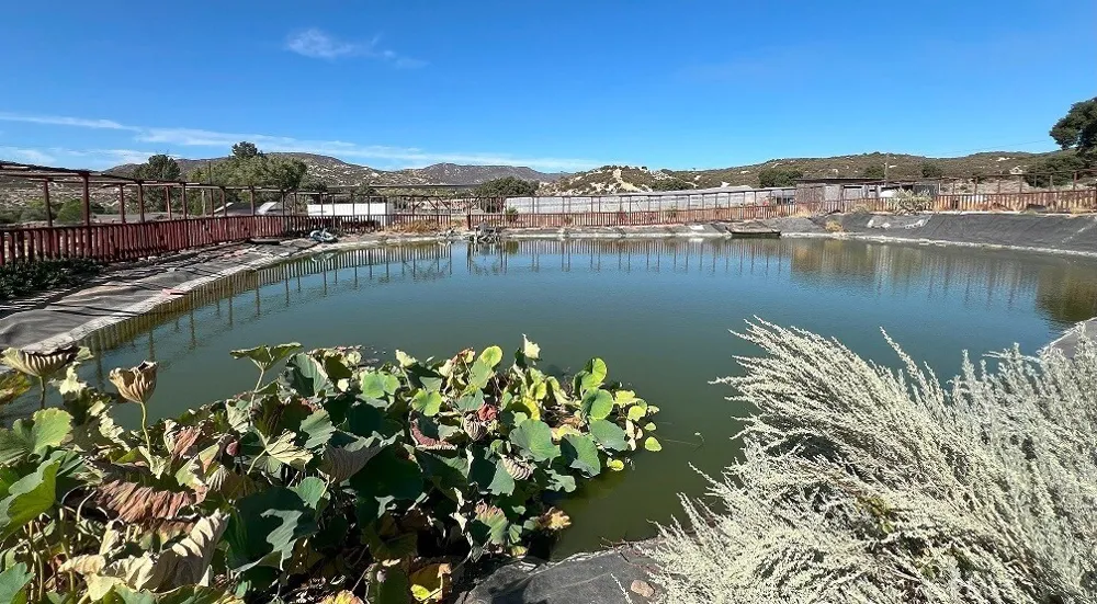 3131 La Posta Campo, CA 91906