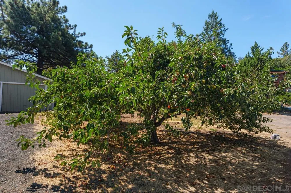 2906 Lakeview Drive Julian, CA 92036