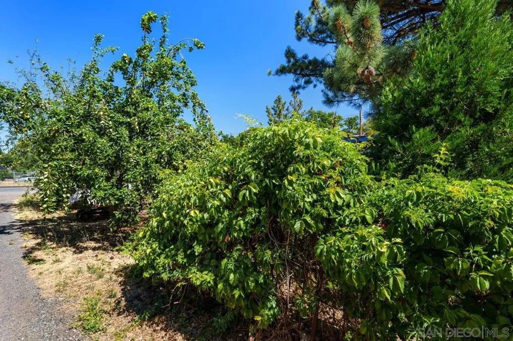2906 Lakeview Drive Julian, CA 92036