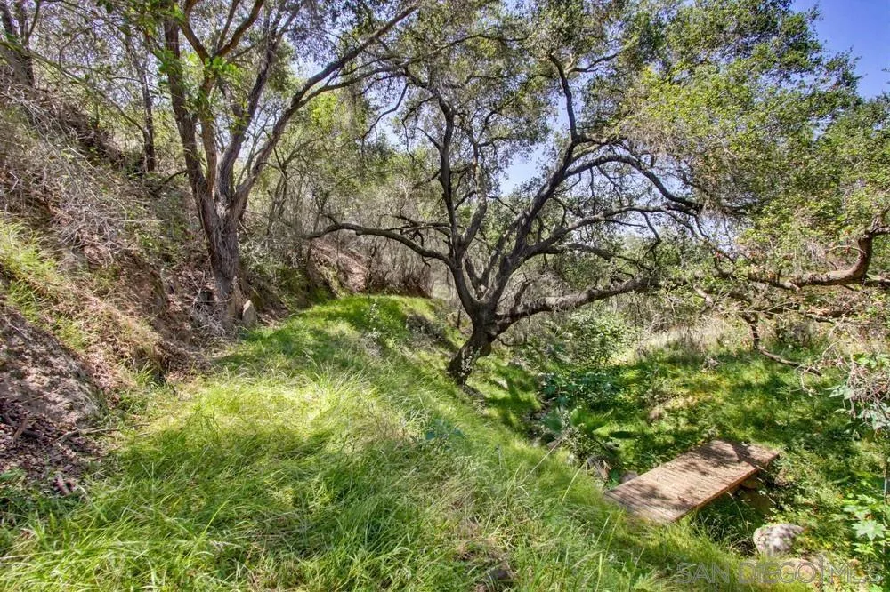 31675 Rancho Amigos Rd Bonsall, CA 92003