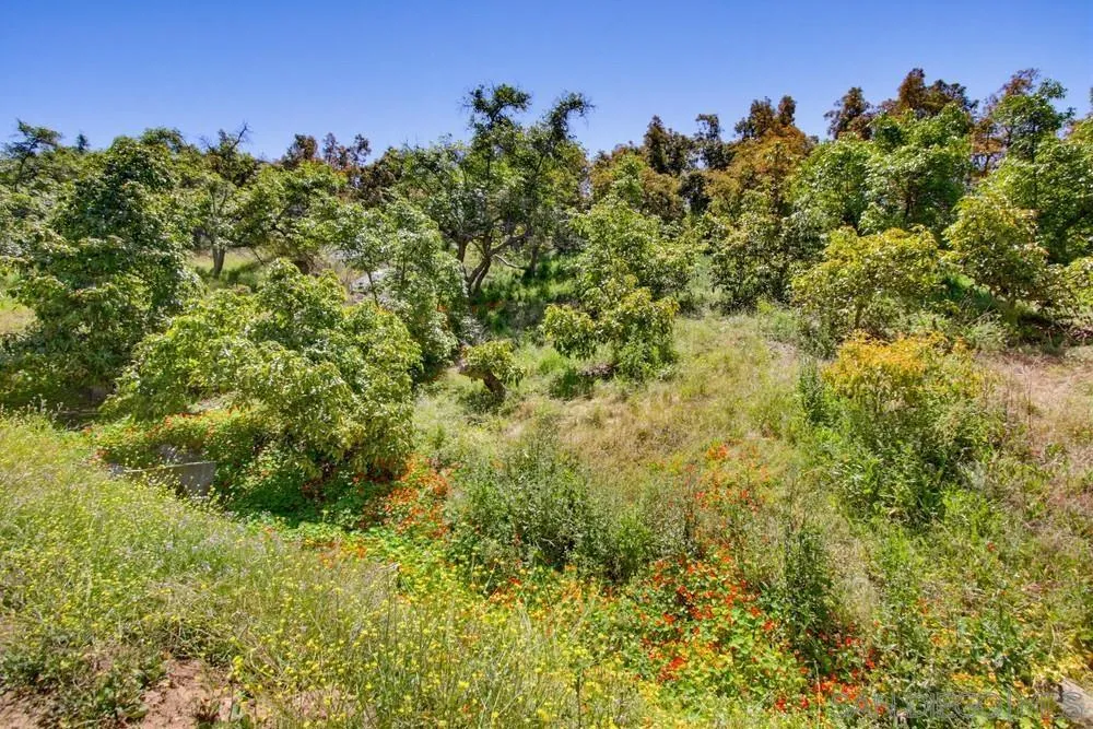 31675 Rancho Amigos Rd Bonsall, CA 92003