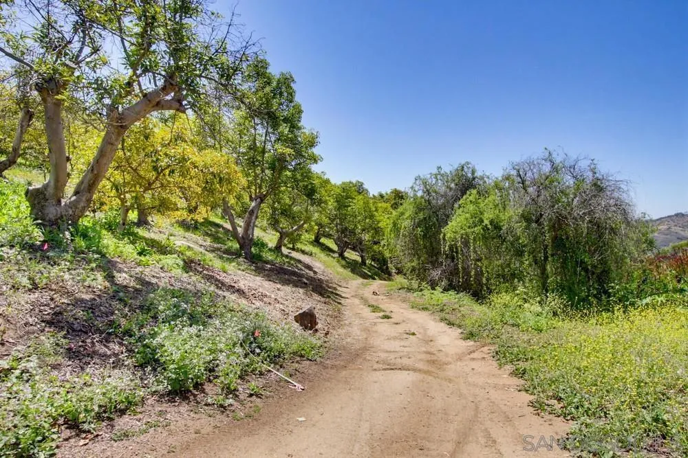 31675 Rancho Amigos Rd Bonsall, CA 92003