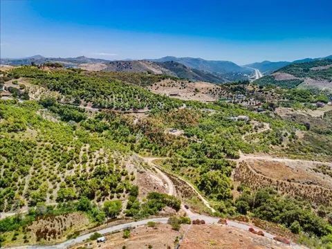 31675 Rancho Amigos Rd