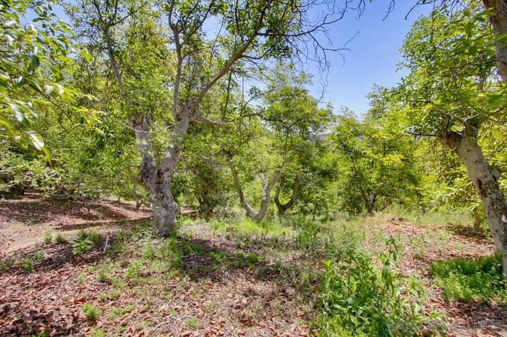31675 Rancho Amigos Rd Bonsall, CA 92003