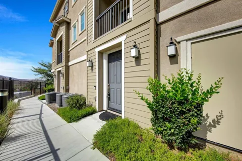 2708 Juniper Berry