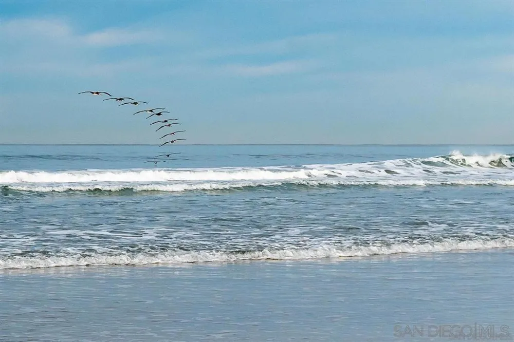 1060 America Way Del Mar, CA 92014