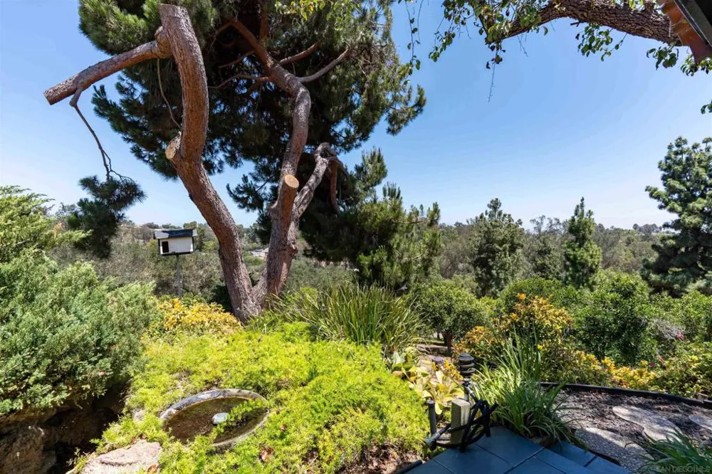 111 Morro Hills Road Fallbrook, CA 92028