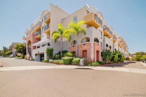 3877 Pell #113