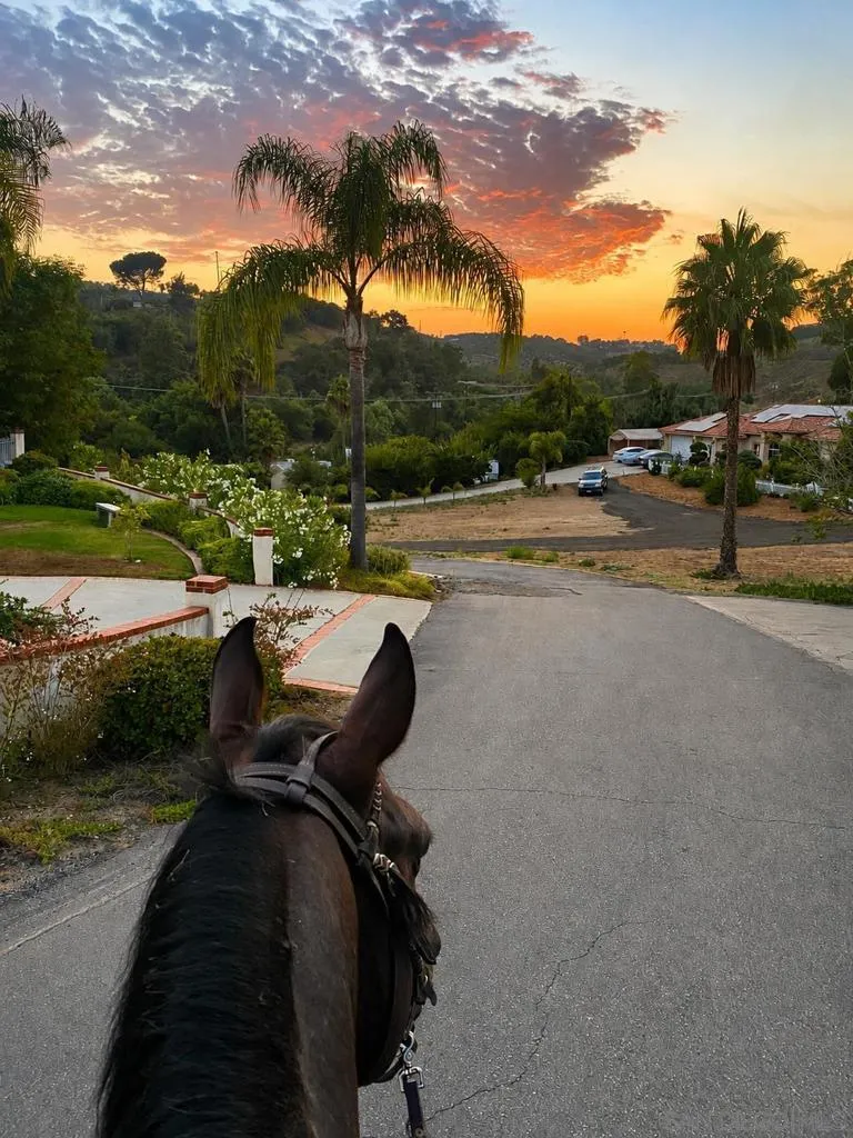 4515 Baja Mission Road Fallbrook, CA 92028