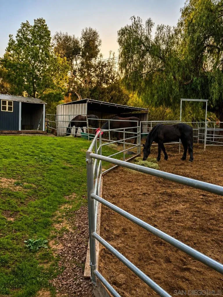 4515 Baja Mission Road Fallbrook, CA 92028