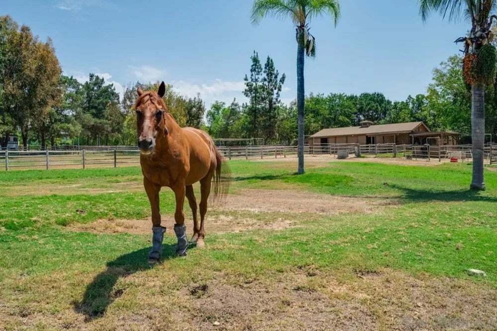 13970 Misty Oak Rd Valley Center, CA 92082