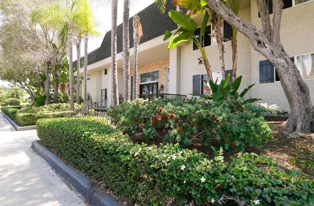 3535 Madison #232 San Diego, CA 92116