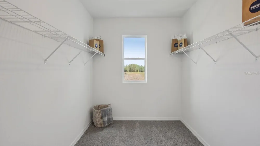 7026 FLINT CREEK DRIVE Land O Lakes, FL 34638
