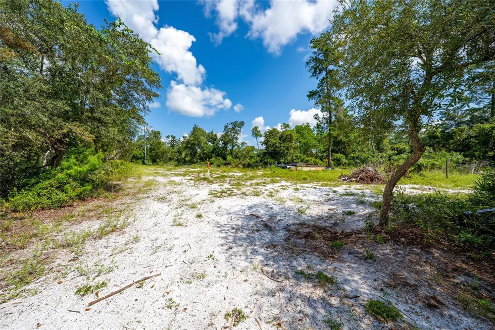 40200 SWIFT ROAD Eustis, FL 32736