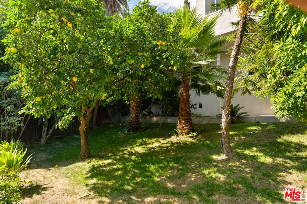 3141 E La Suvida Drive Los Angeles, CA 90068