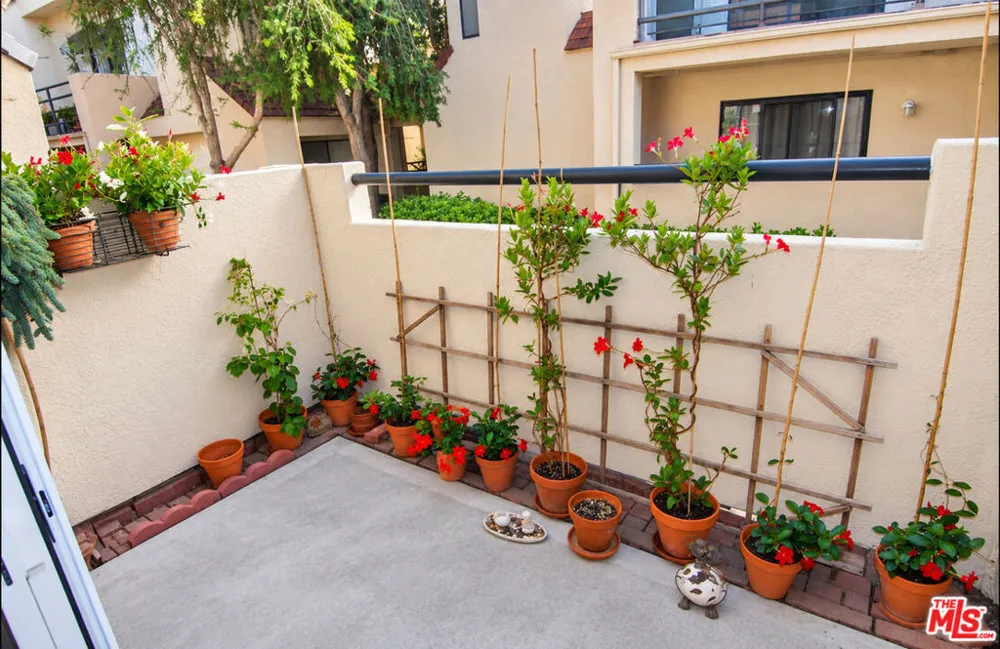 17 Pearl #61 Laguna Niguel, CA 92677