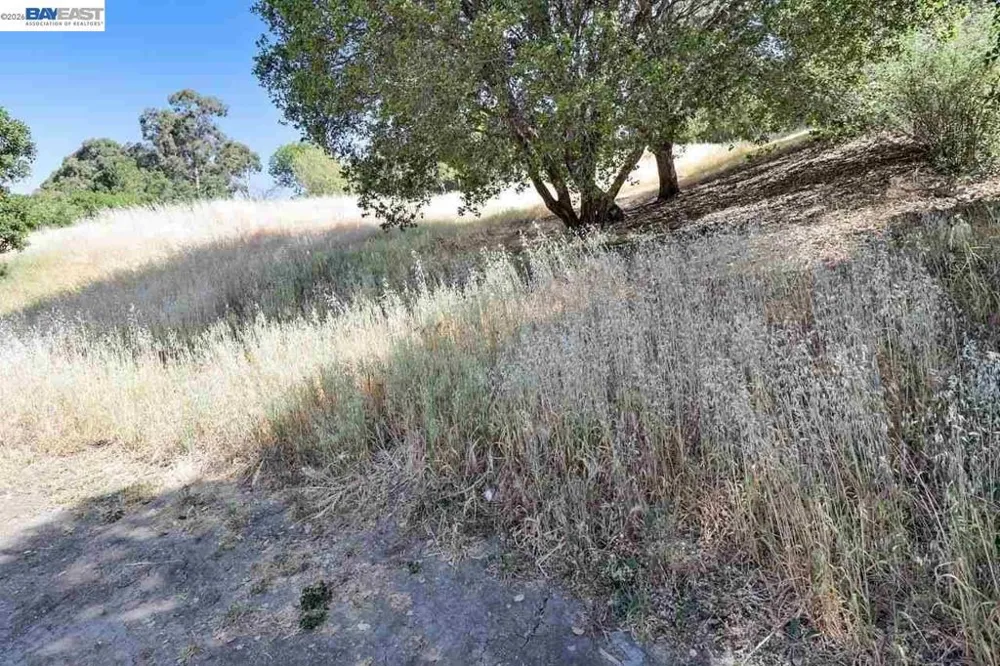 Outlook Ave Oakland, CA 94608
