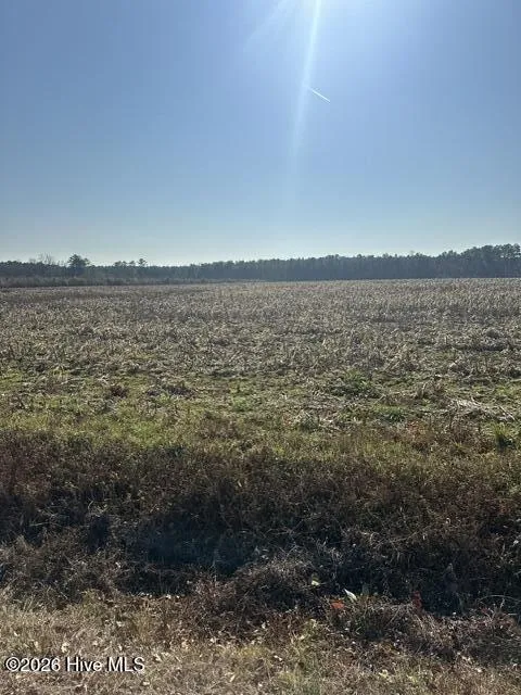 2645 Braswell Road Chadbourn, NC 28431