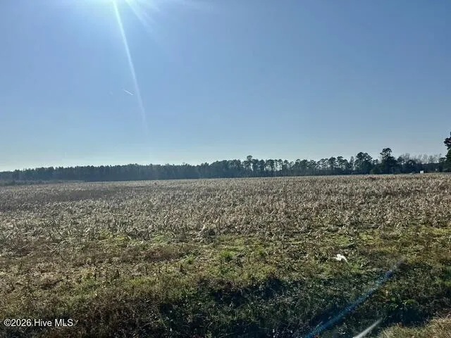 2645 Braswell Road Chadbourn, NC 28431
