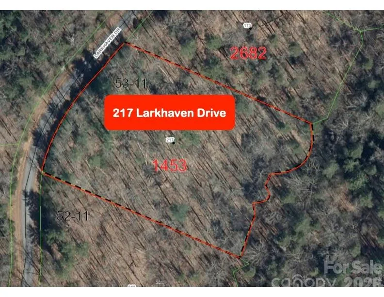 217 Larkhaven Drive #53-11 Nebo, NC 28761