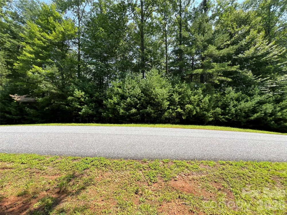 217 Larkhaven Drive #53-11 Nebo, NC 28761