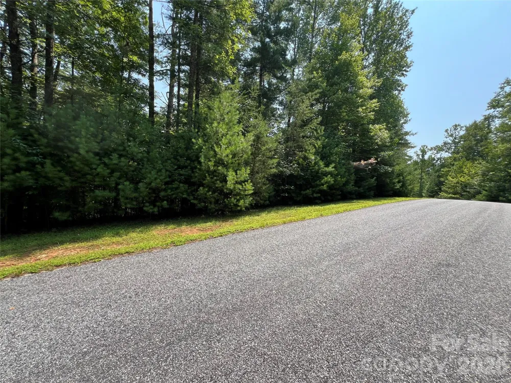 217 Larkhaven Drive #53-11 Nebo, NC 28761