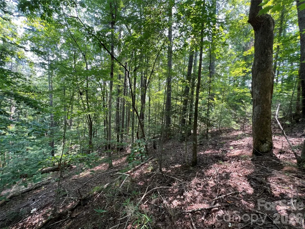 217 Larkhaven Drive #53-11 Nebo, NC 28761