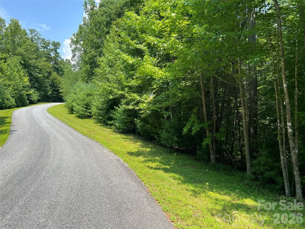 217 Larkhaven Drive #53-11 Nebo, NC 28761