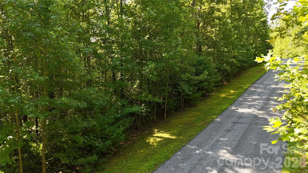 217 Larkhaven Drive #53-11 Nebo, NC 28761