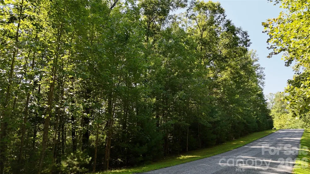 217 Larkhaven Drive #53-11 Nebo, NC 28761