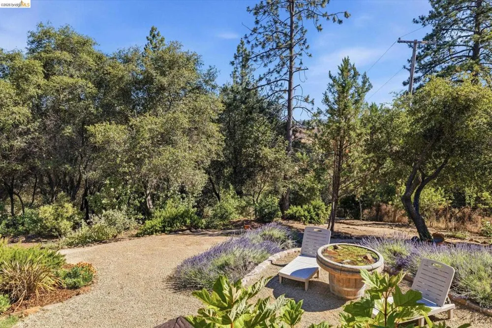 22890 MOUNT HOLLY LN Columbia, CA 95310