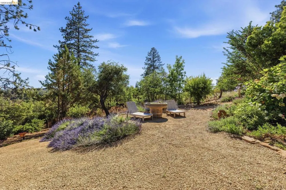 22890 MOUNT HOLLY LN Columbia, CA 95310