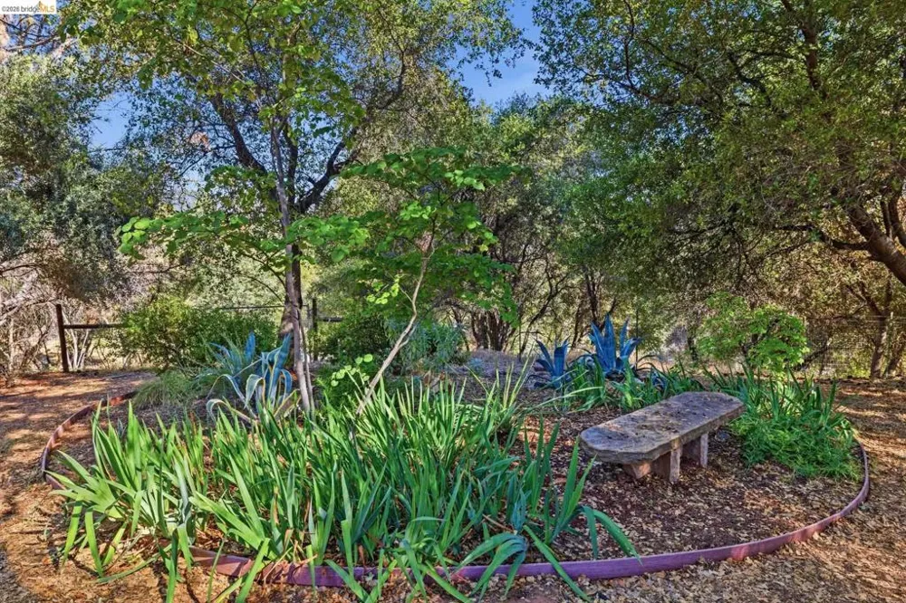22890 MOUNT HOLLY LN Columbia, CA 95310
