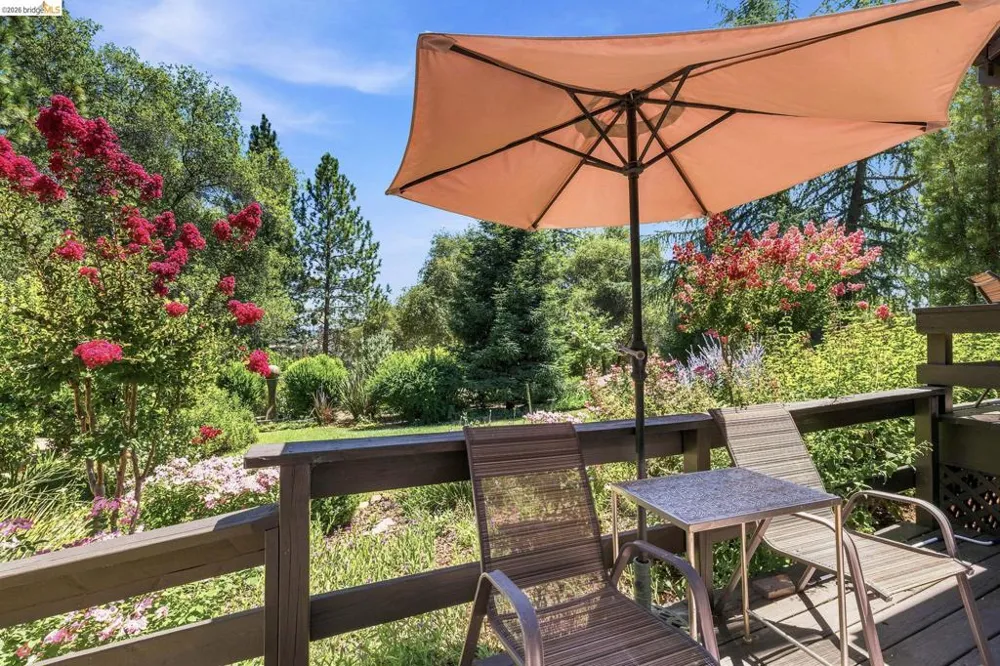 22890 MOUNT HOLLY LN Columbia, CA 95310