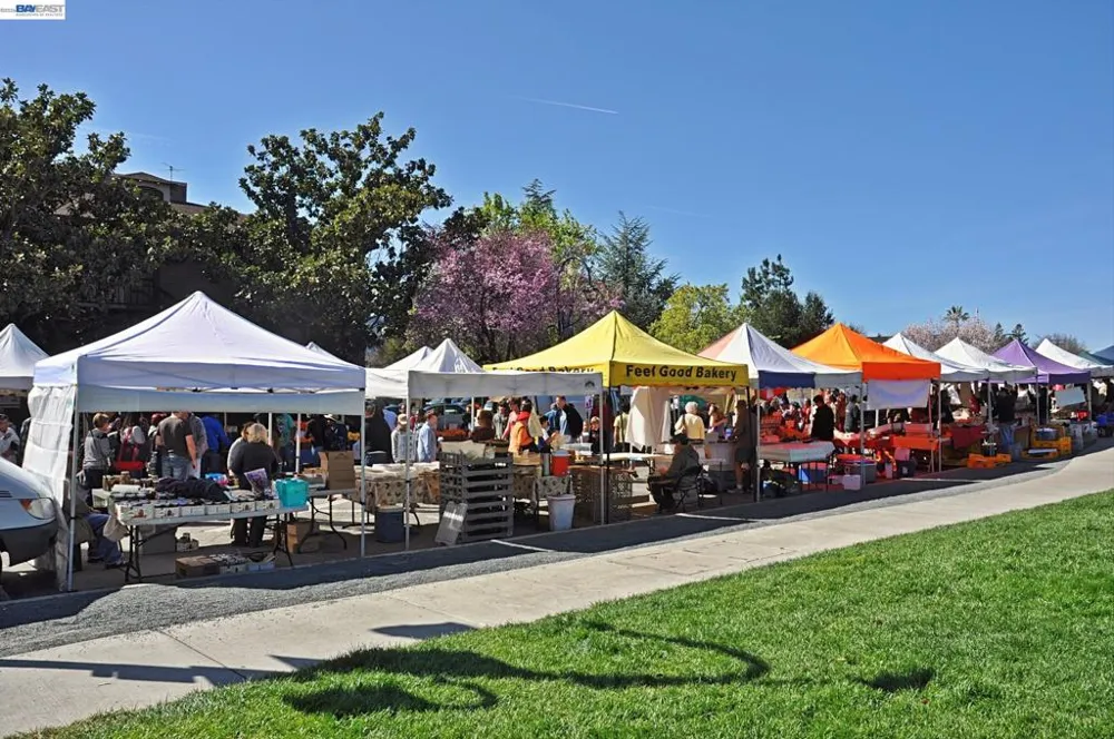 3868 Stanley Blvd Pleasanton, CA 94566
