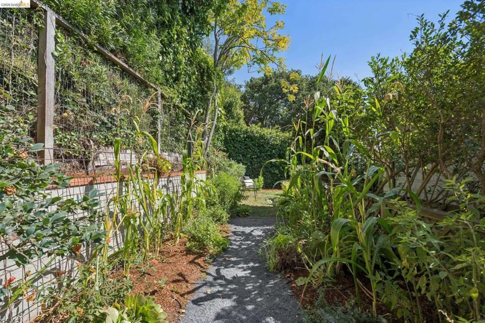 150 Scenic Ave Piedmont, CA 94611
