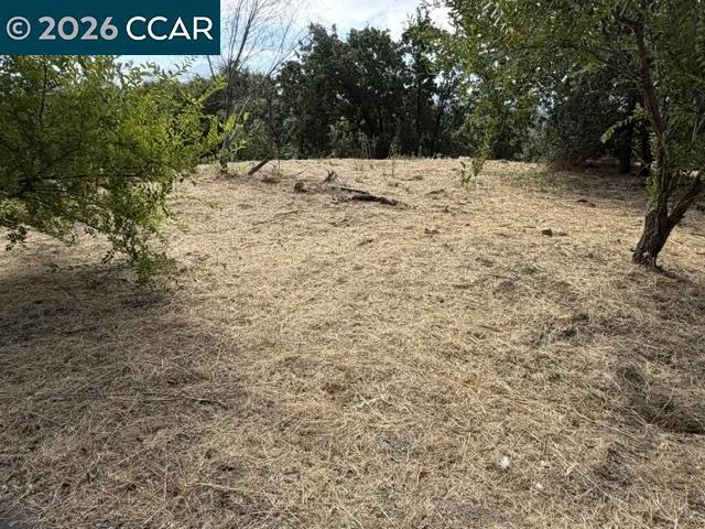 387 Camino Las Juntas Pleasant Hill, CA 94523