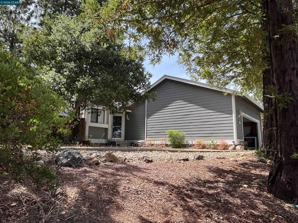 115 Bedford Hercules, CA 94547