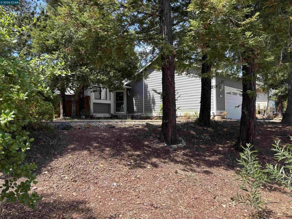 115 Bedford Hercules, CA 94547