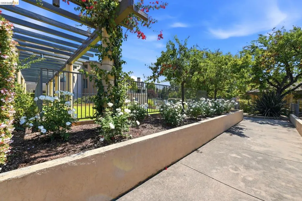 39206 Guardino Dr #302 Fremont, CA 94538