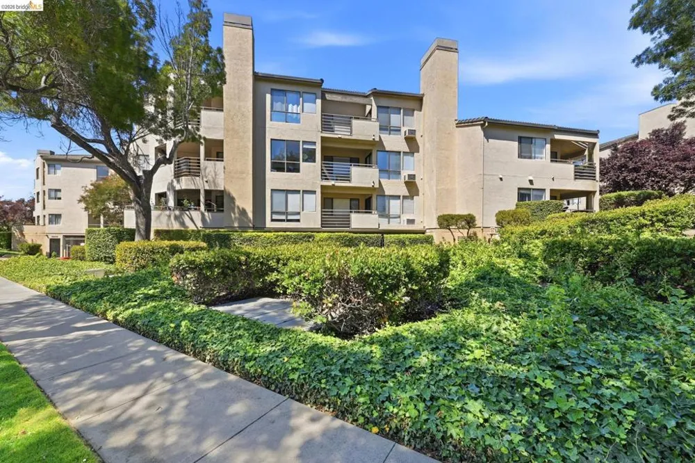 39206 Guardino Dr #302 Fremont, CA 94538