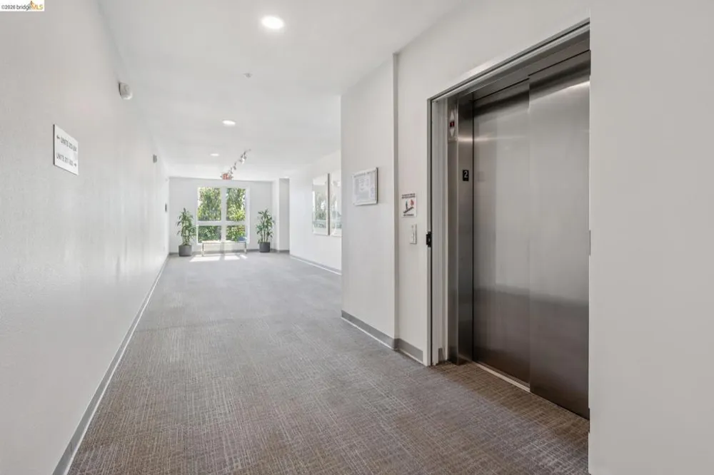 10300 San Pablo Ave #203 El Cerrito, CA 94530