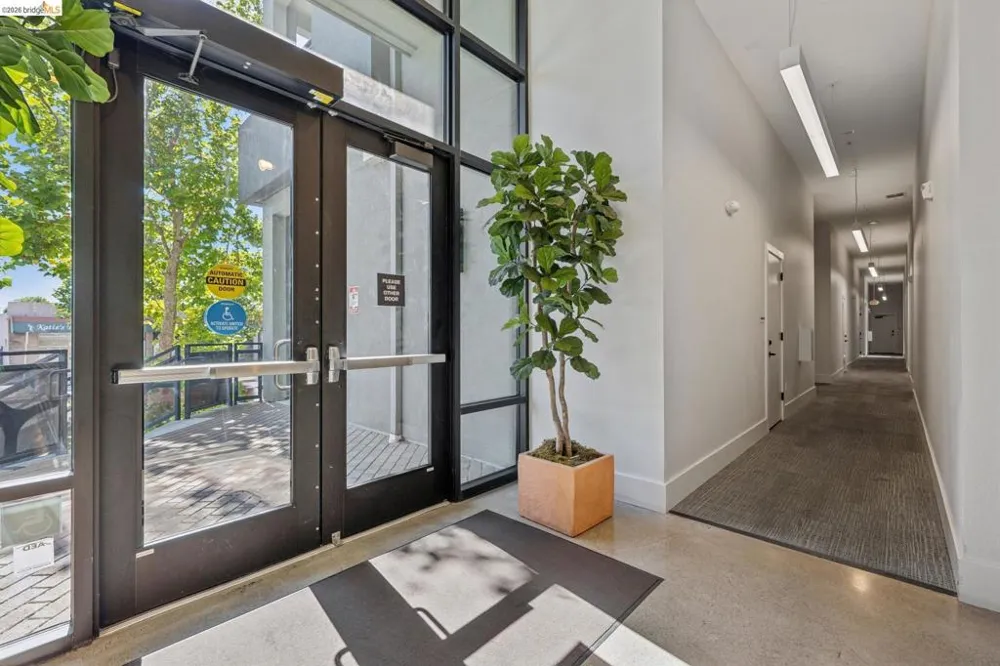 10300 San Pablo Ave #203 El Cerrito, CA 94530