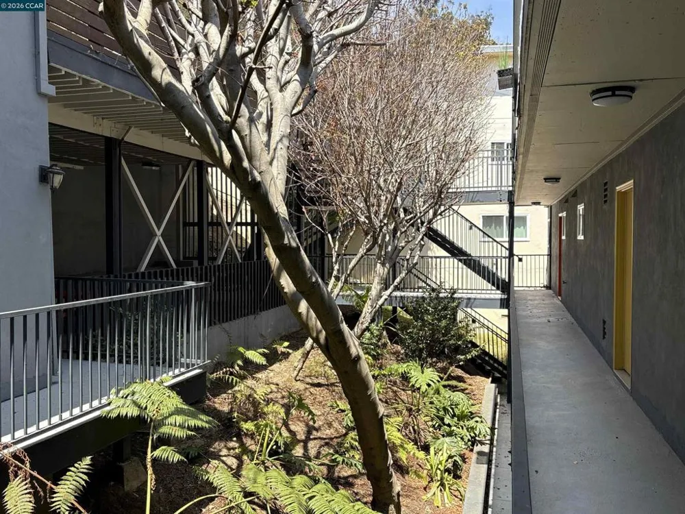 785 Taft Ave #10 Albany, CA 94706