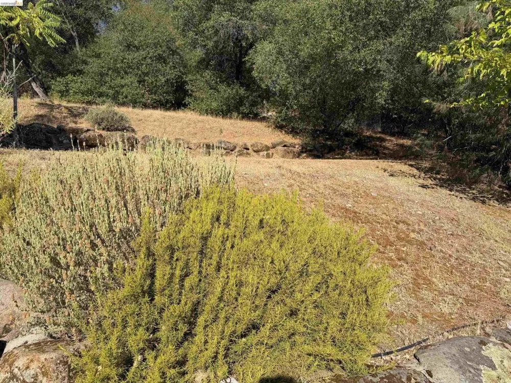 21010 Lancaster Ct Sonora, CA 95370
